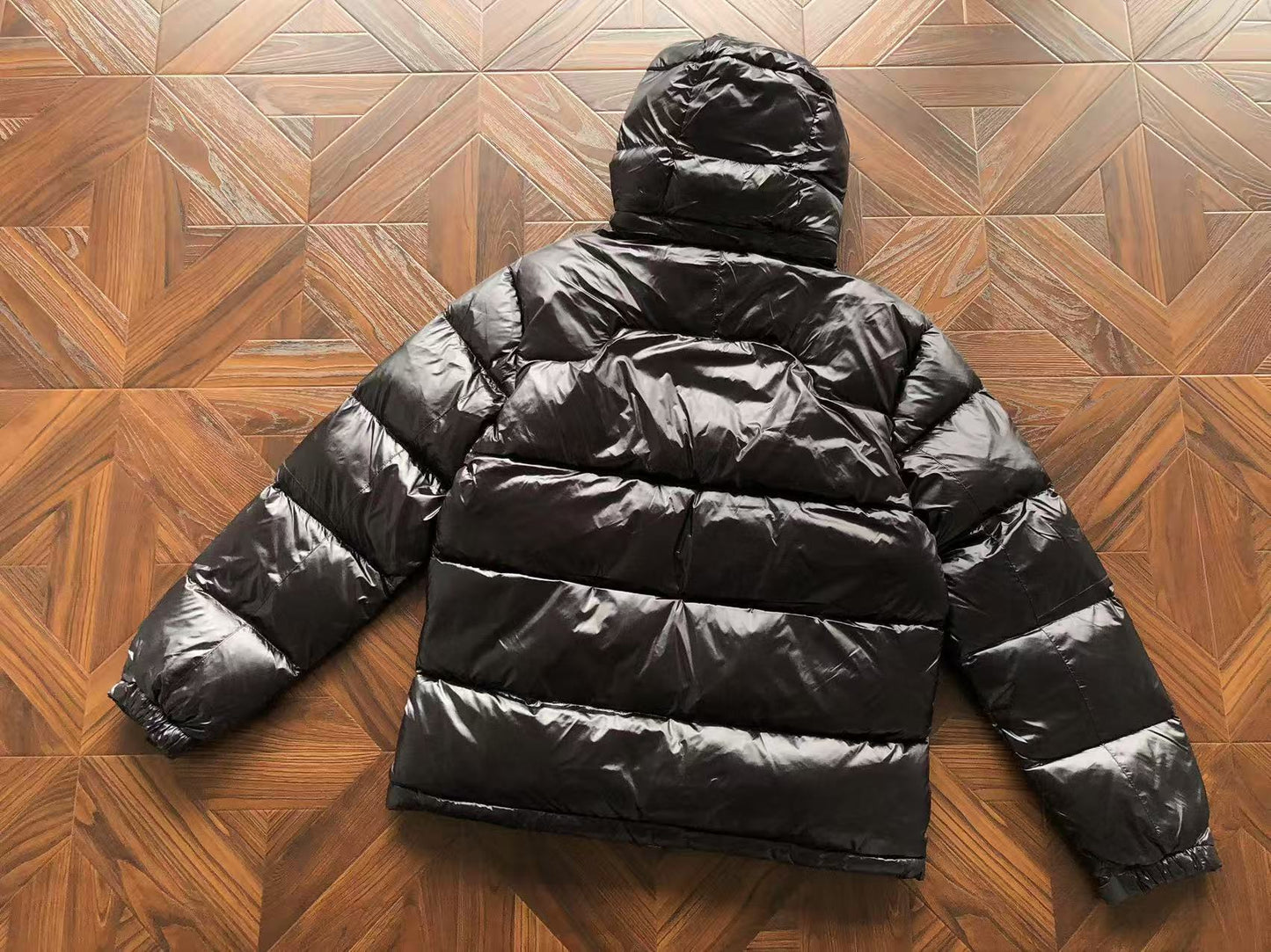 "RL" Shiny Puffer