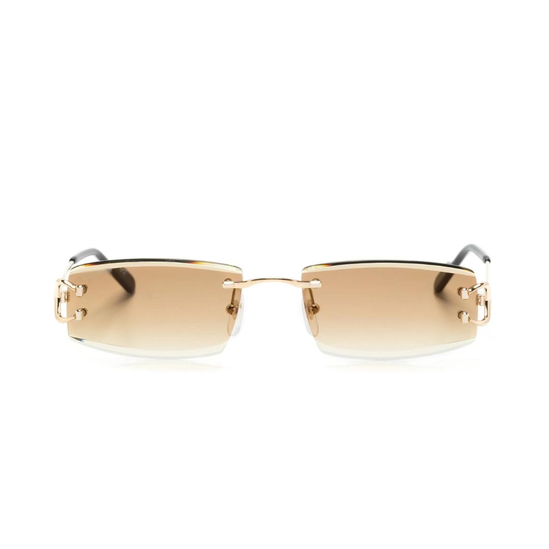 Monochromatic Sunglasses