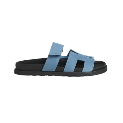 "HRMS" Slides