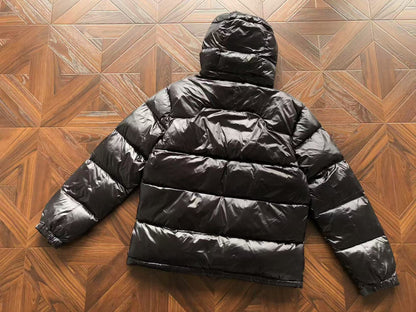 "RL" Shiny Puffer