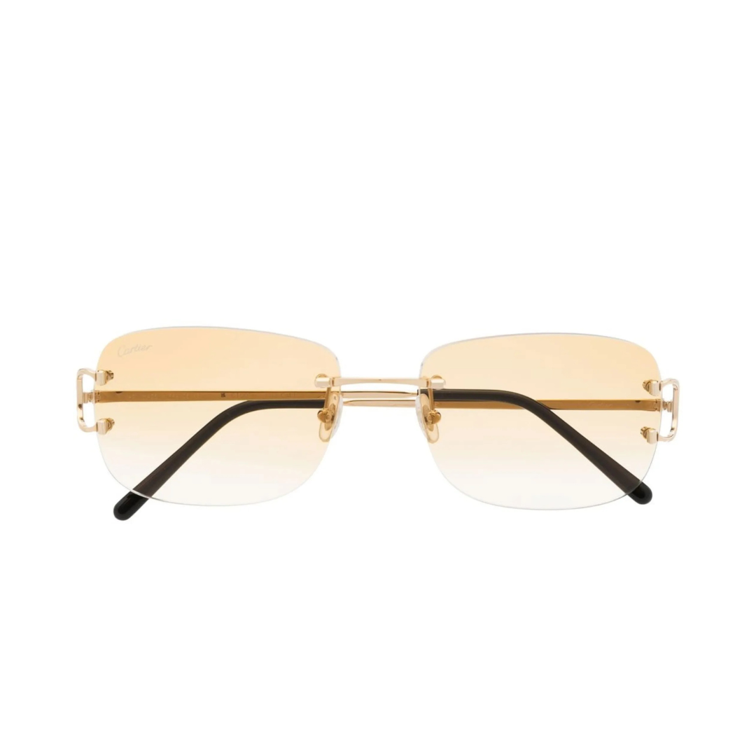 Monochromatic Sunglasses