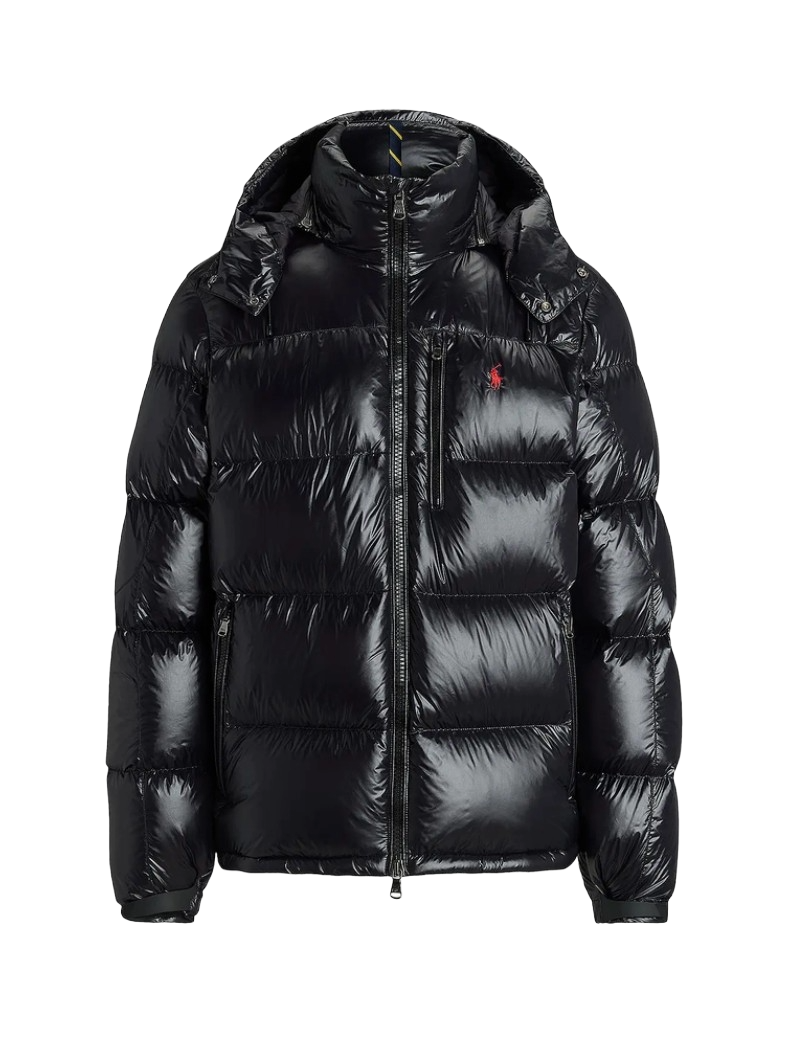 "RL" Shiny Puffer