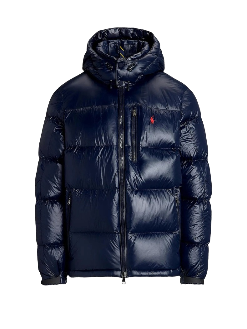 "RL" Shiny Puffer